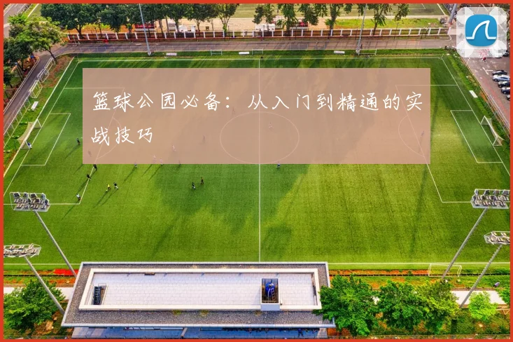篮球公园必备:从入门到精通的实战技巧