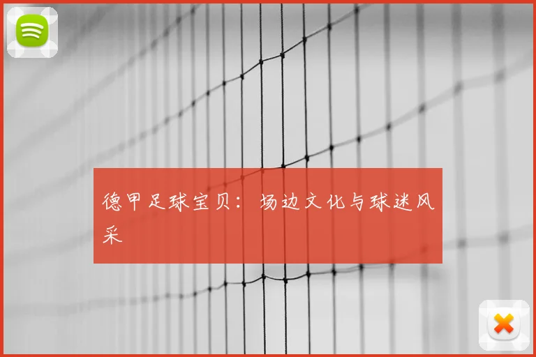 德甲足球宝贝:场边文化与球迷风采
