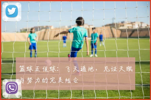 篮球五佳球:飞天遁地,见证天赋与努力的完美结合