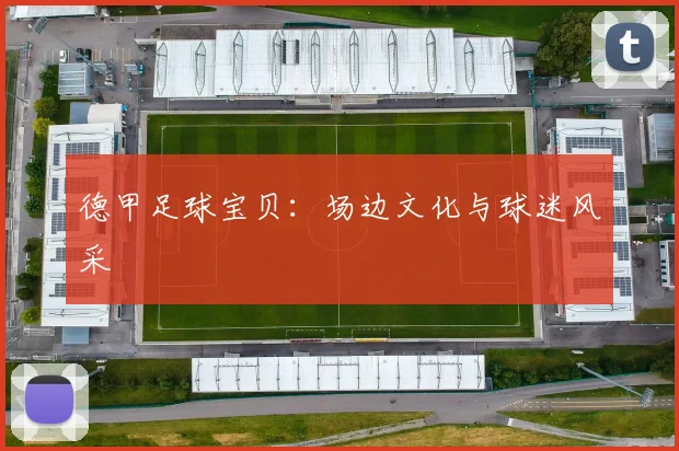 德甲足球宝贝:场边文化与球迷风采